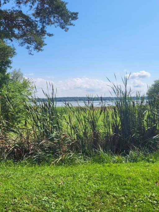 L'Oree Des Lacs, Maison De Village Tout Confort Radonvilliers Екстериор снимка